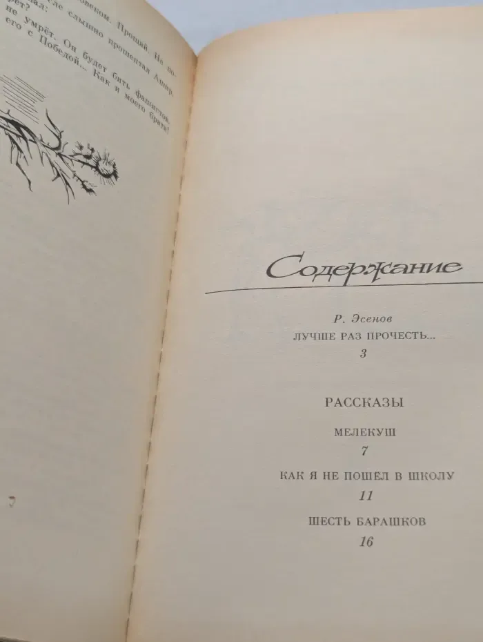 Брат солдата