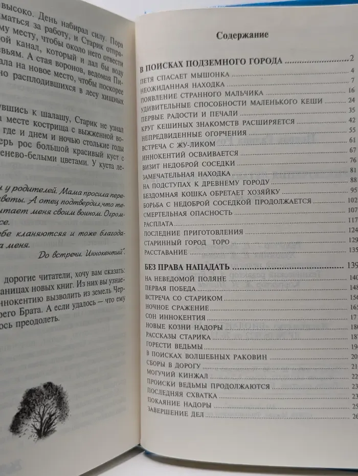 Приключения летающего мальчика