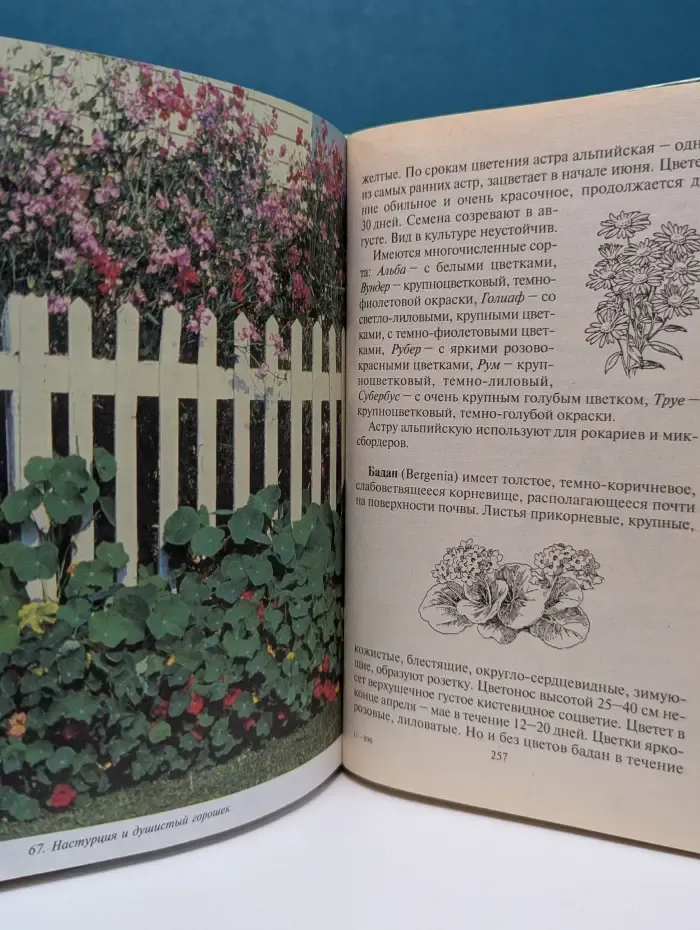 Страна советов. Ваш красивый сад