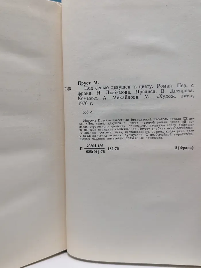 Под сенью девушек в цвету