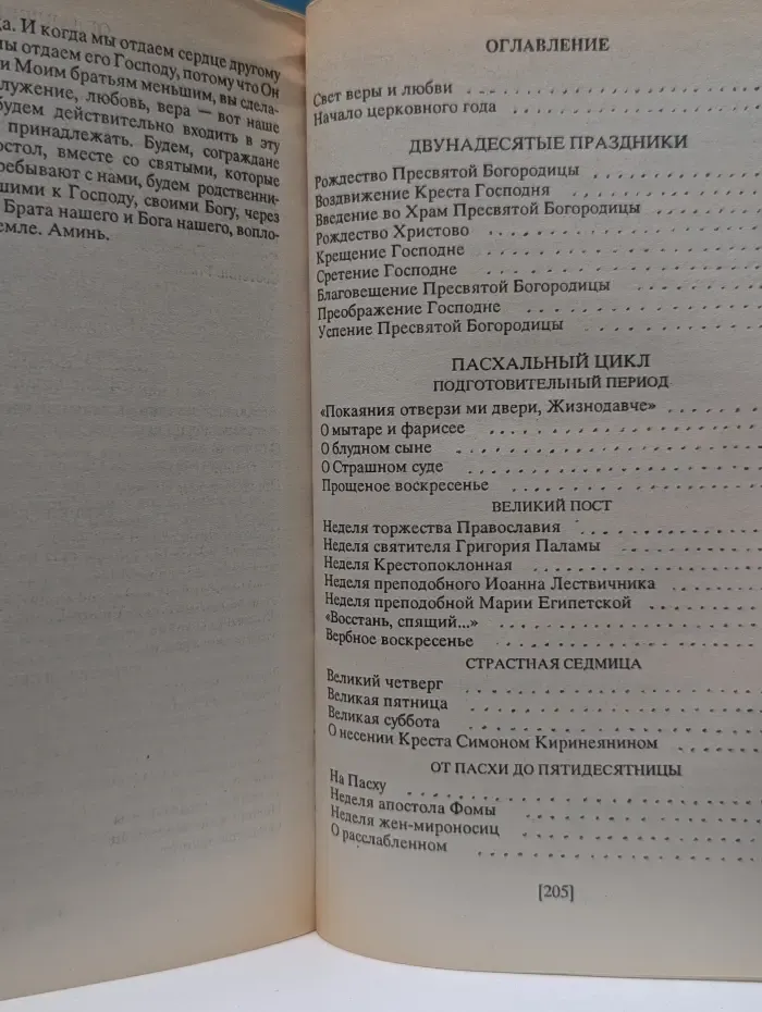 Свет во тьме светит. Проповеди