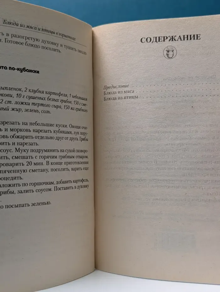 Очень просто! Блюда из мяса и птицы в горшочках