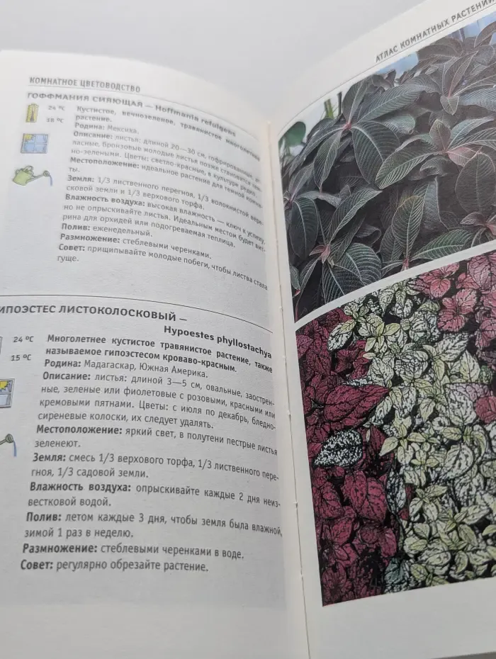 Атлас комнатных растений