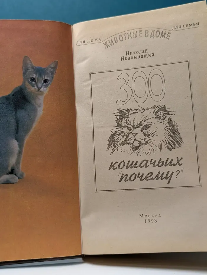Животные в доме. 300 кошачьих почему