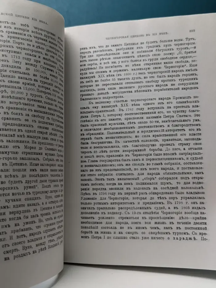 История Православной Церкви в XIX веке. В 2 книгах. Книга 2. Славянские Церкви