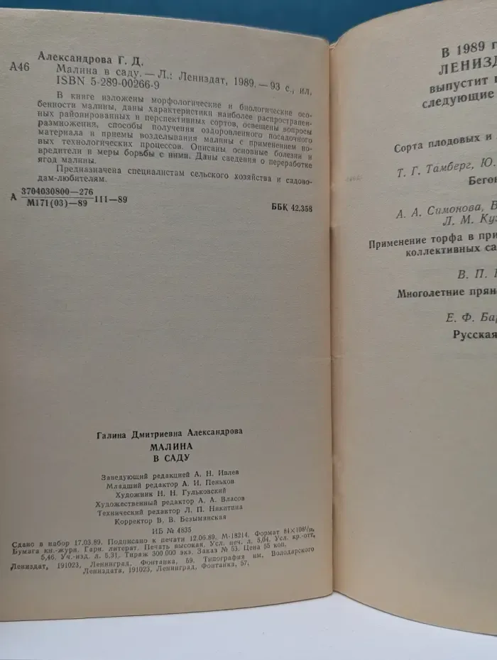 Малина в саду