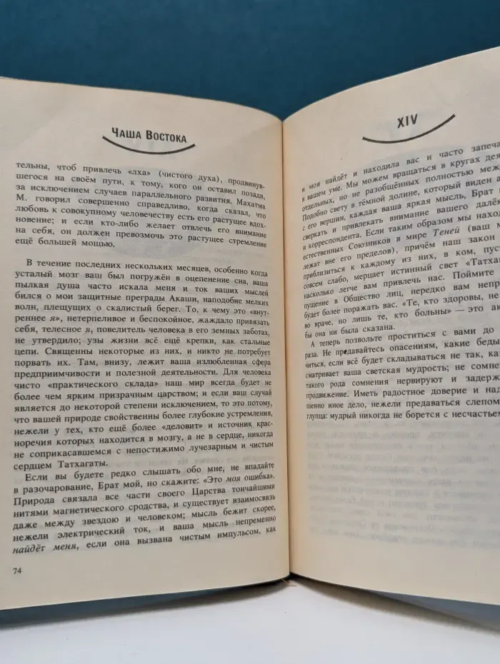 Чаша Востока. Письма Махатм. Избранные письма 1880-1885