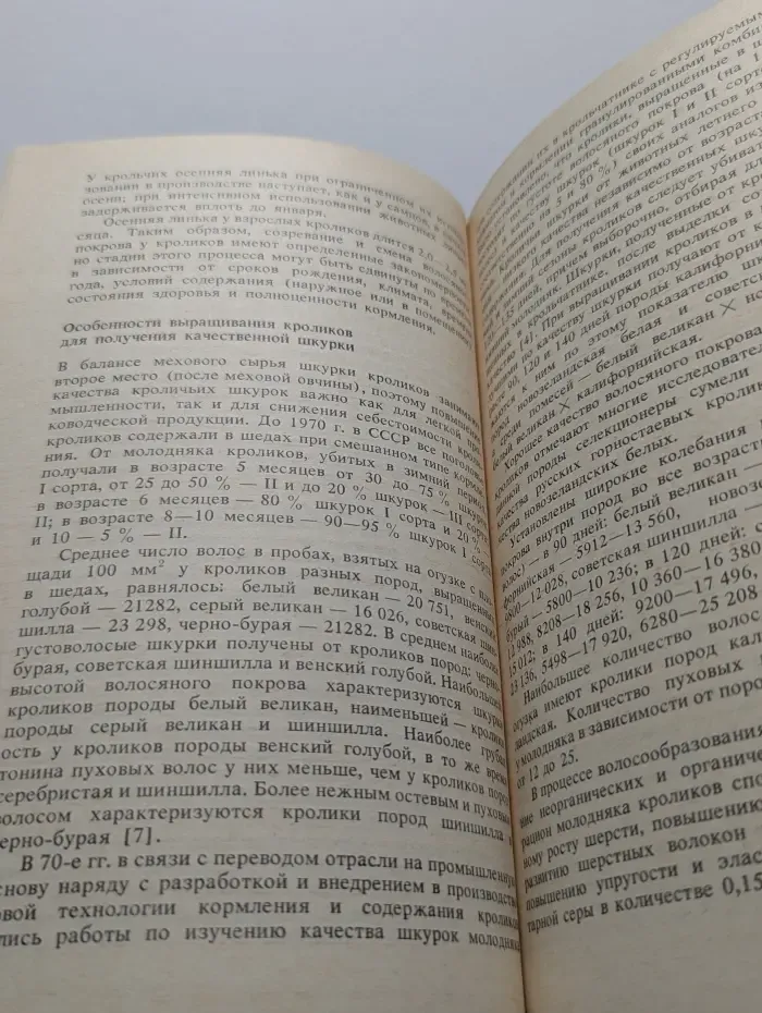 Продукция кролиководства