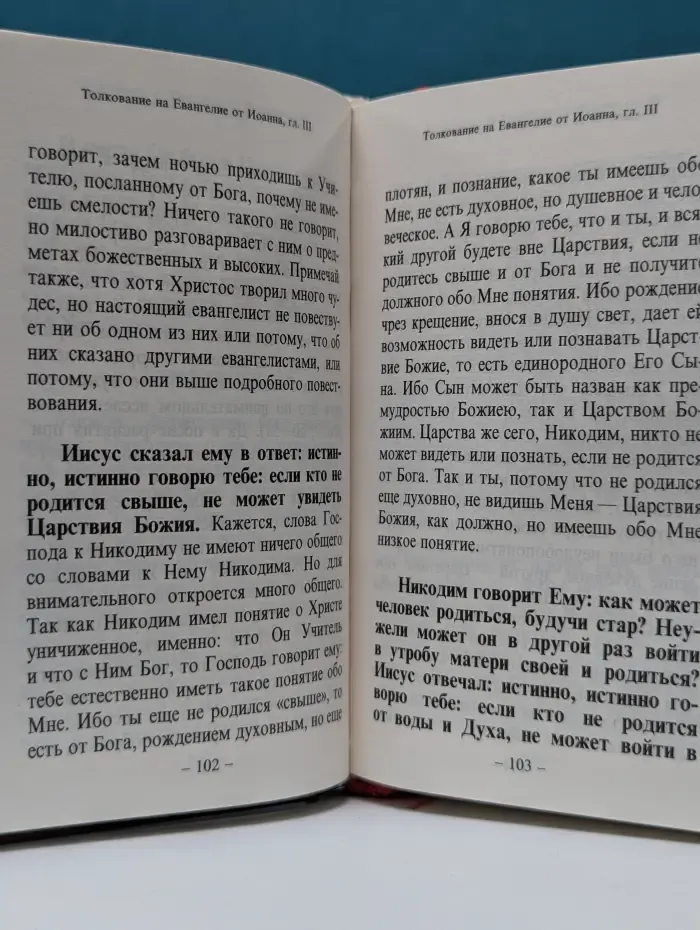 Святое Евангелие от Иоанна с толкованием текста