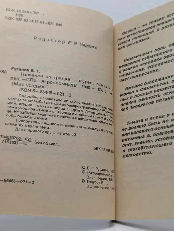Мир усадьбы. Неженки на грядке-огурец, томат и перец