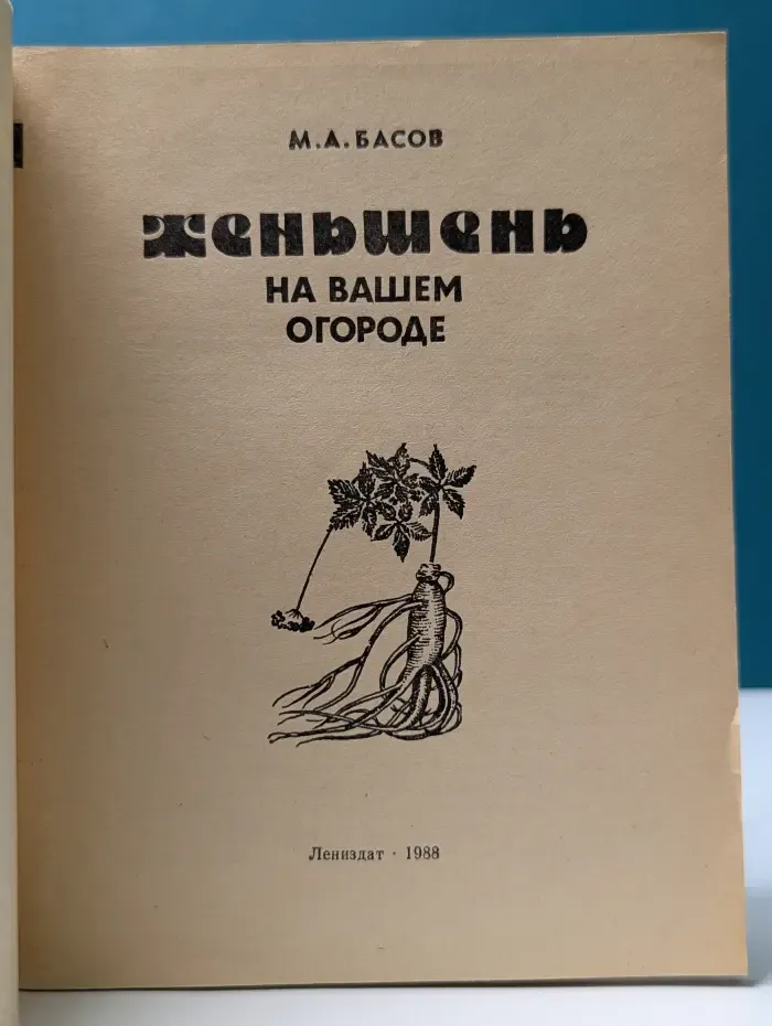 Женьшень на вашем огороде