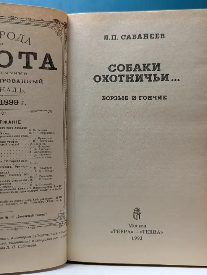 Собаки охотничьи... Борзые и гончие