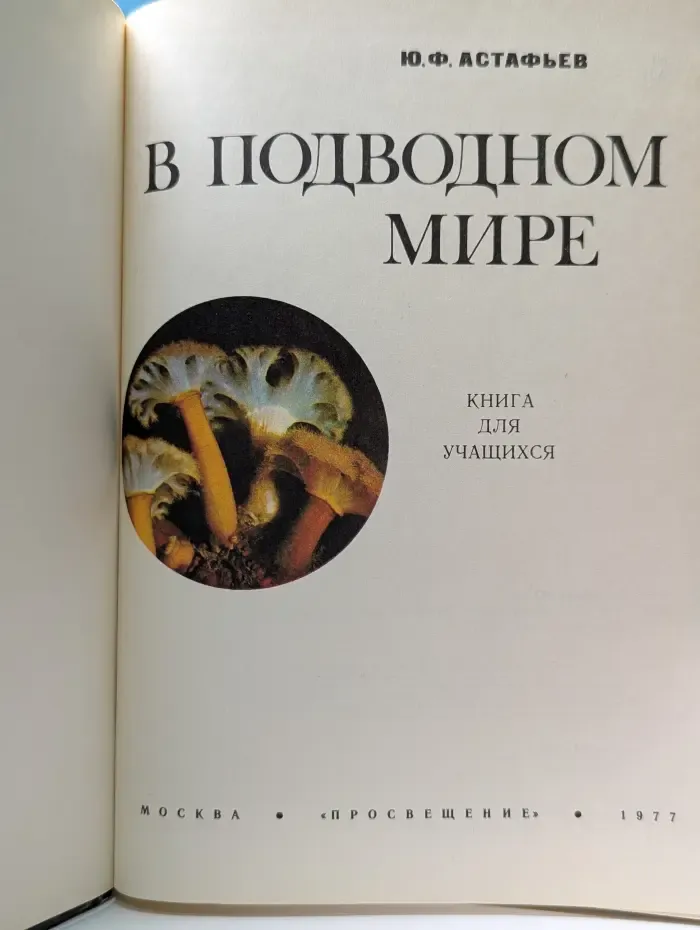 В подводном мире