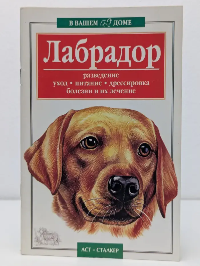 В вашем доме. Лабрадор. Разведение, уход, питание, дрессировка, болезни и их лечение