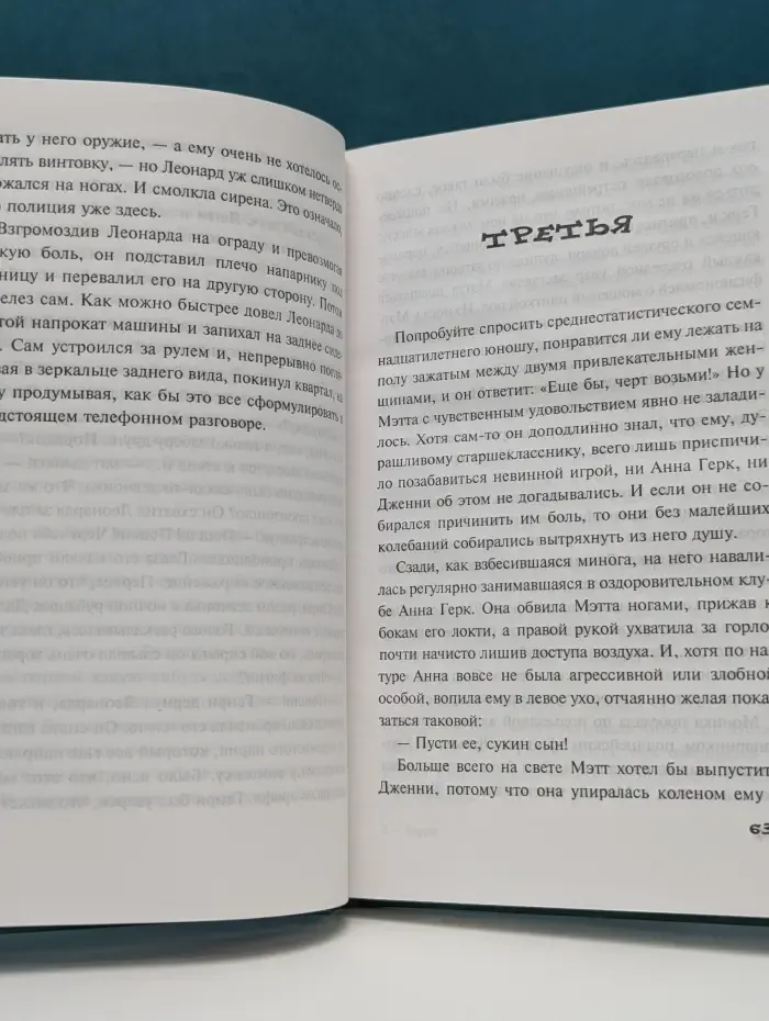 Большие неприятности