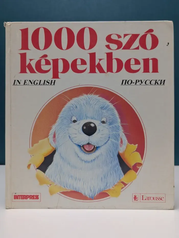 1000 слов в картинках