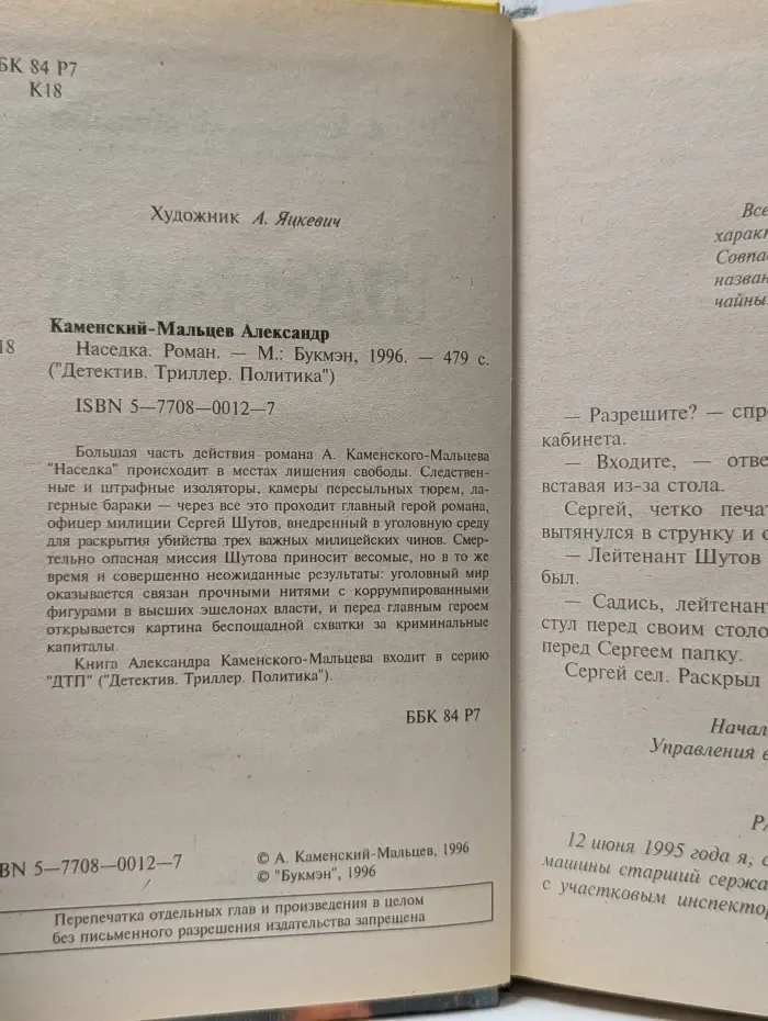 Детектив. Триллер. Политика. Наседка