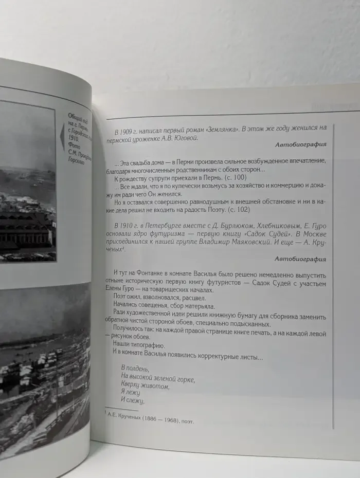 Я - Василий Каменский