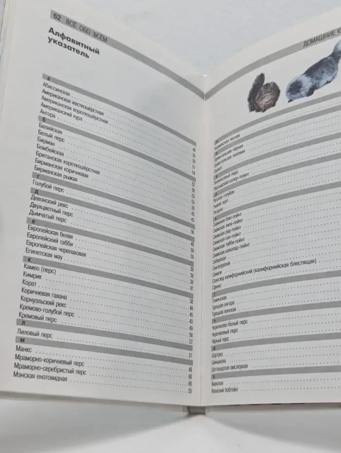 Все обо всем. Кошки
