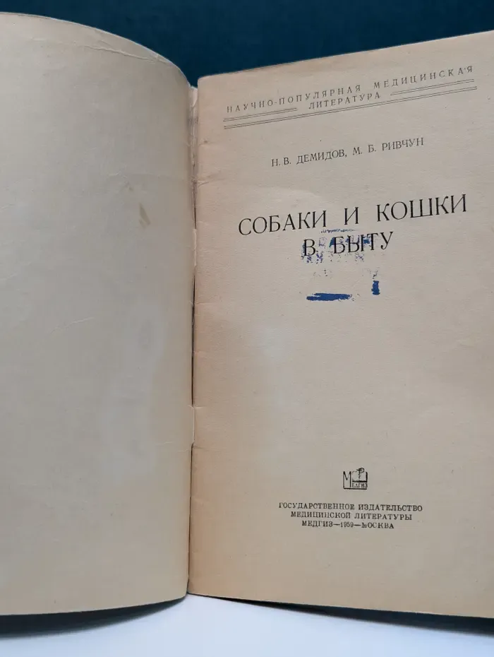 Собаки и кошки в быту