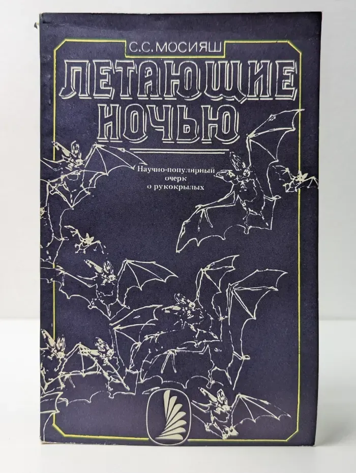 Летающие ночью