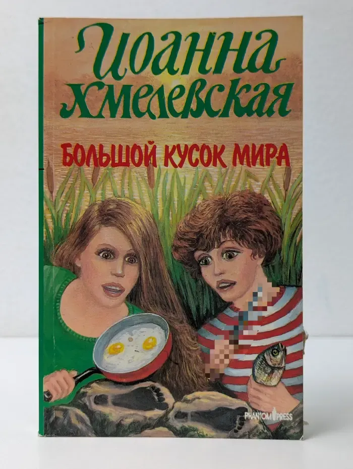 Большой кусок мира