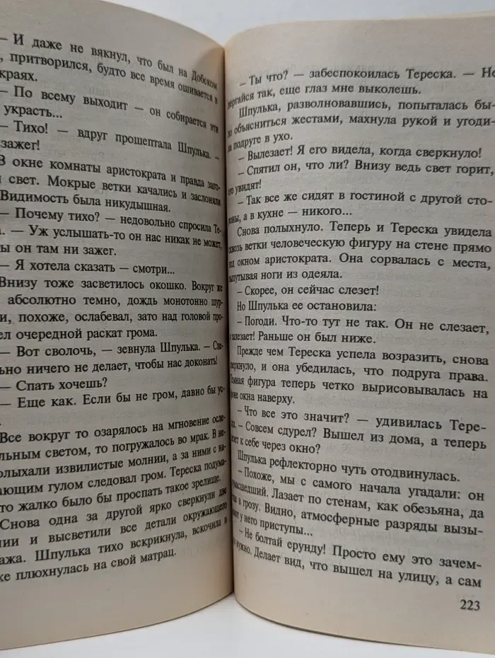 Большой кусок мира