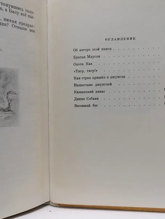 Школьная библиотека. Маугли
