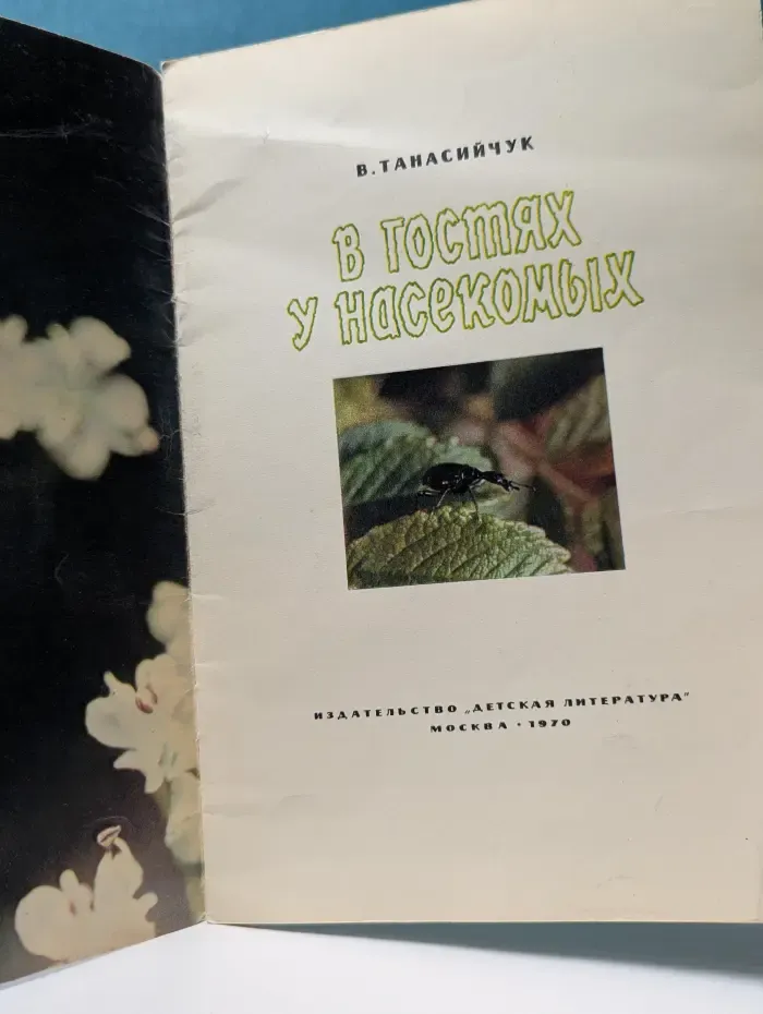 В гостях у насекомых