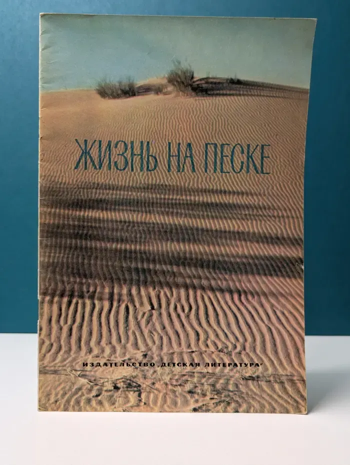Жизнь на песке