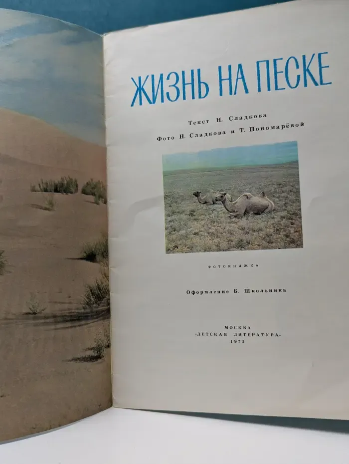 Жизнь на песке