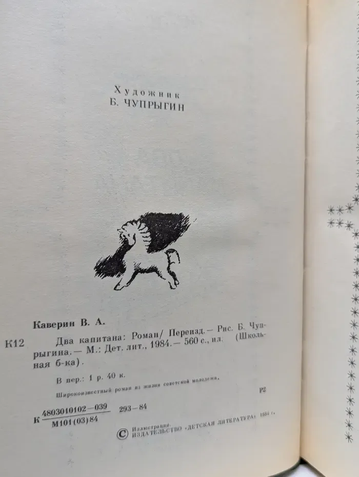 Школьная библиотека. Два капитана