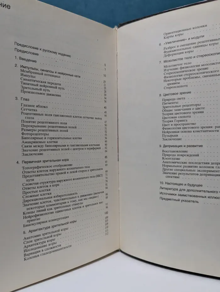Глаз, мозг, зрение