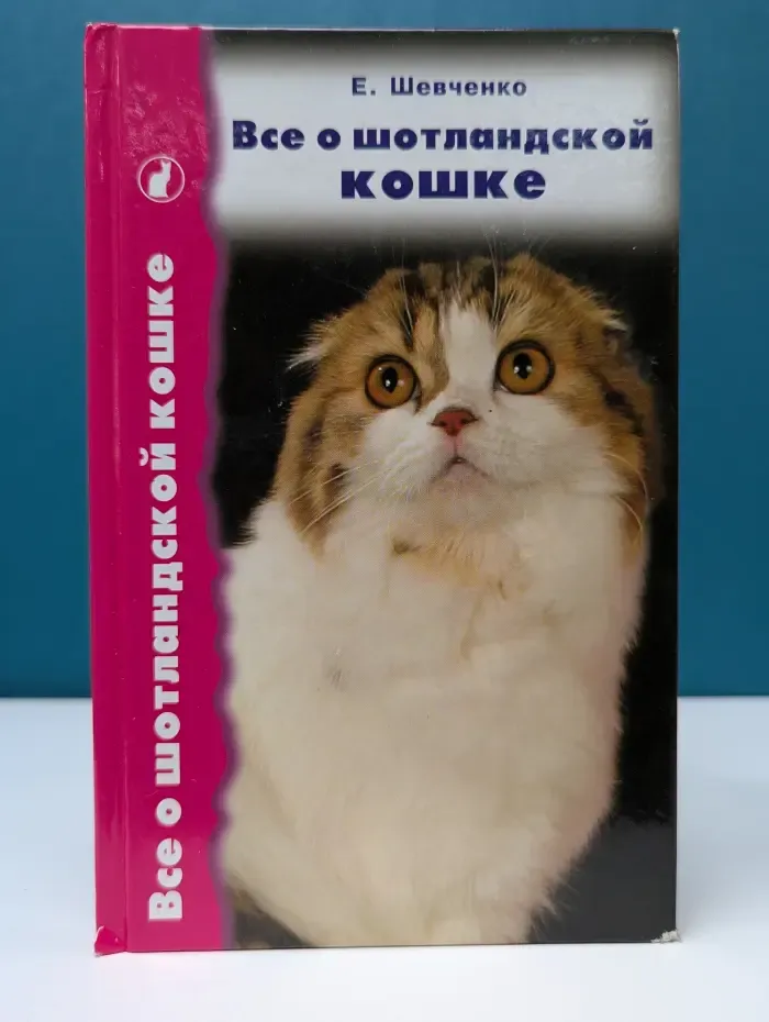 Все о шотландской кошке. Скоттиш фолды, страйты и хайленд фолды