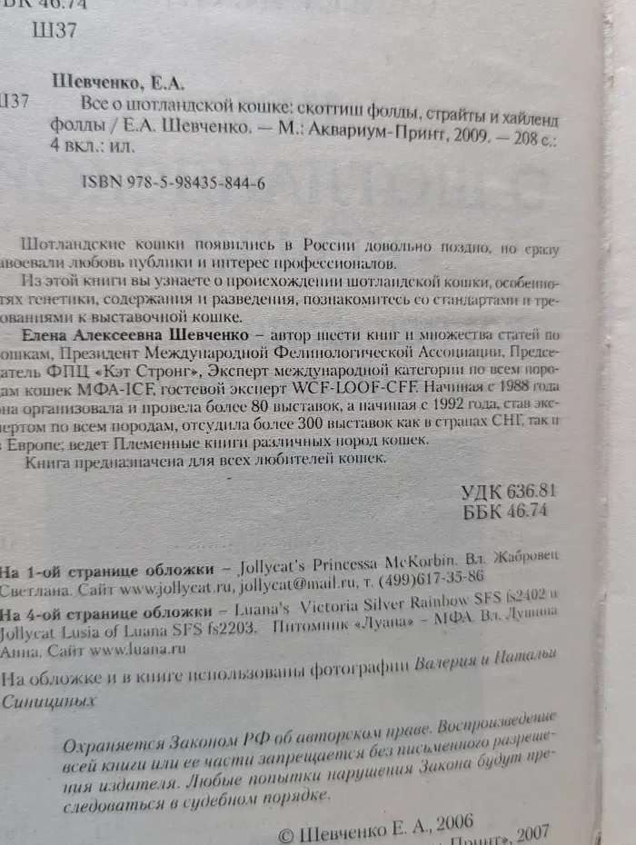 Все о шотландской кошке. Скоттиш фолды, страйты и хайленд фолды