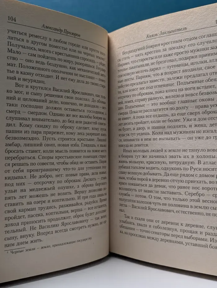 Князь. Заклинатель
