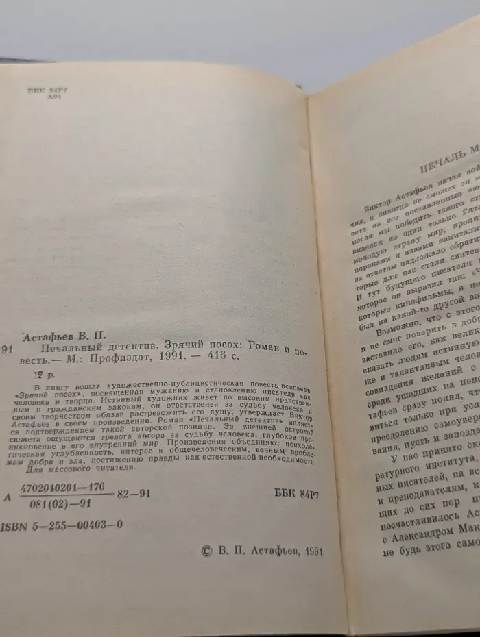 Печальный детектив. Зрячий посох