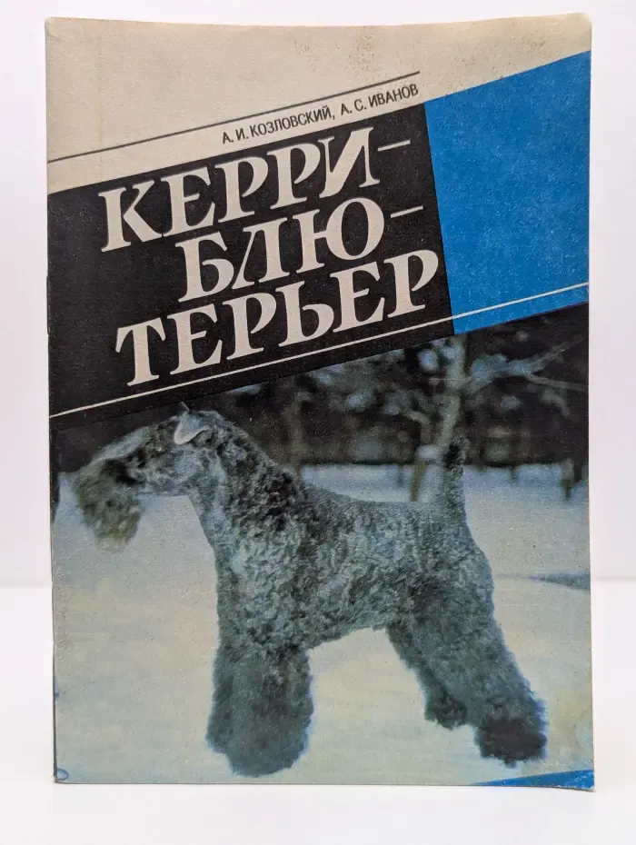 Керри-блю-терьер