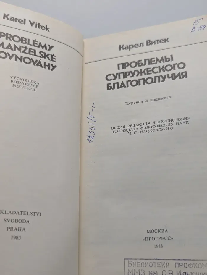 Проблемы супружеского благополучия