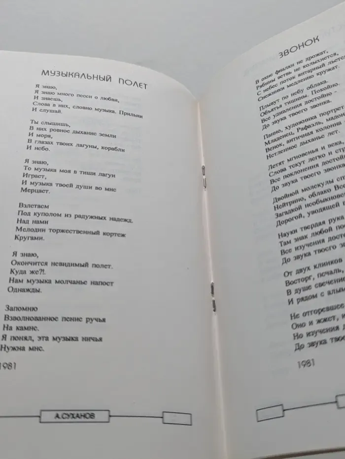 «День из апреля кружит меня…»