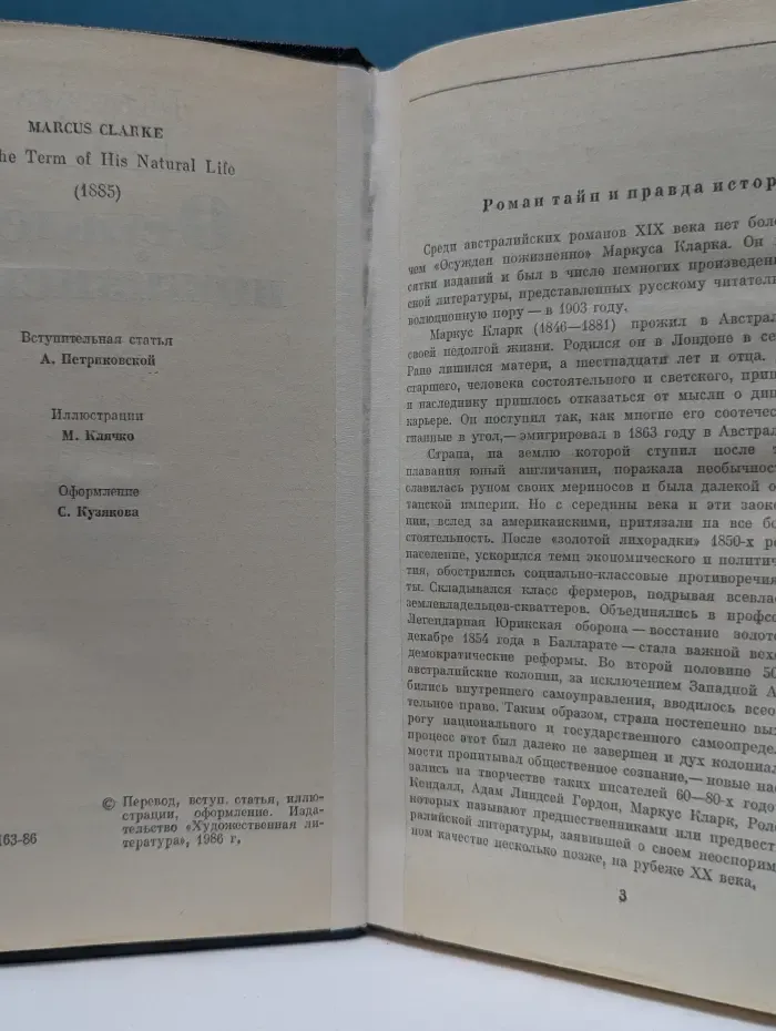 Осужден пожизненно