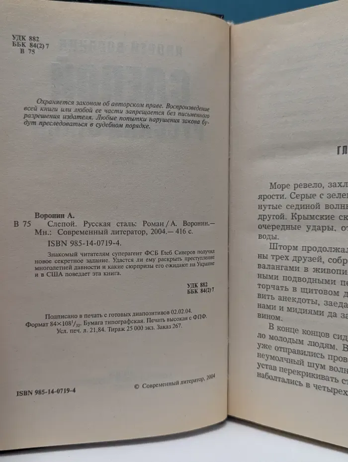 Слепой. Русская сталь