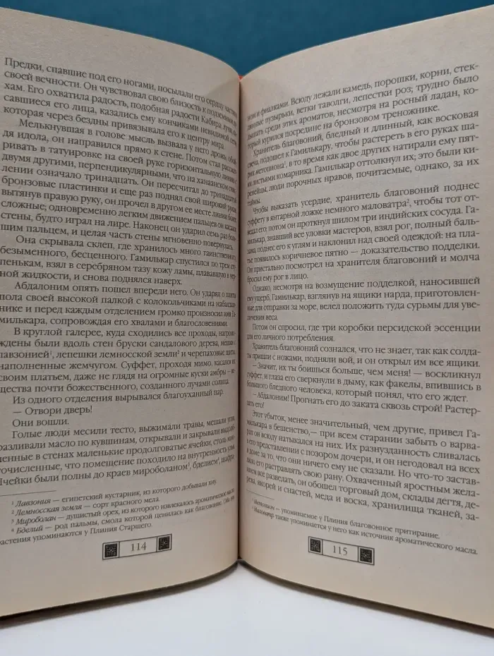 История в романах. Саламбо