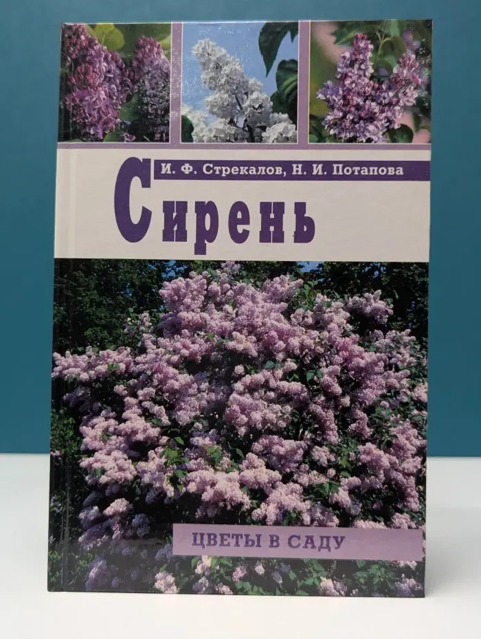 Живой мир вокруг нас. Сирень