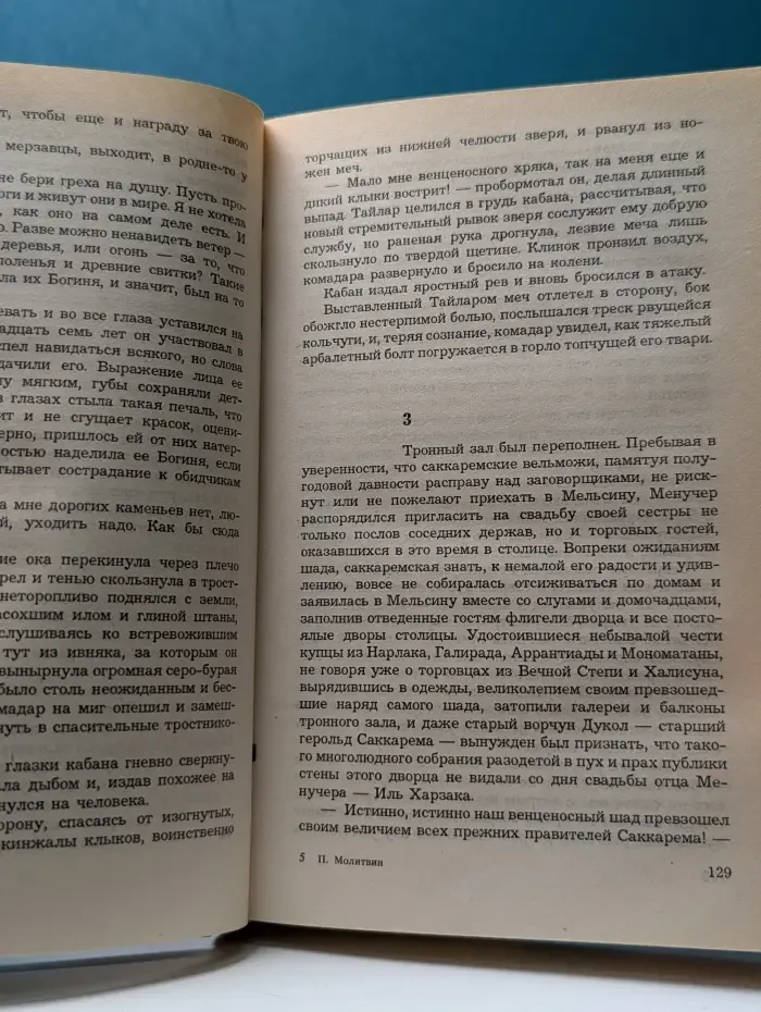 Спутники Волкодава