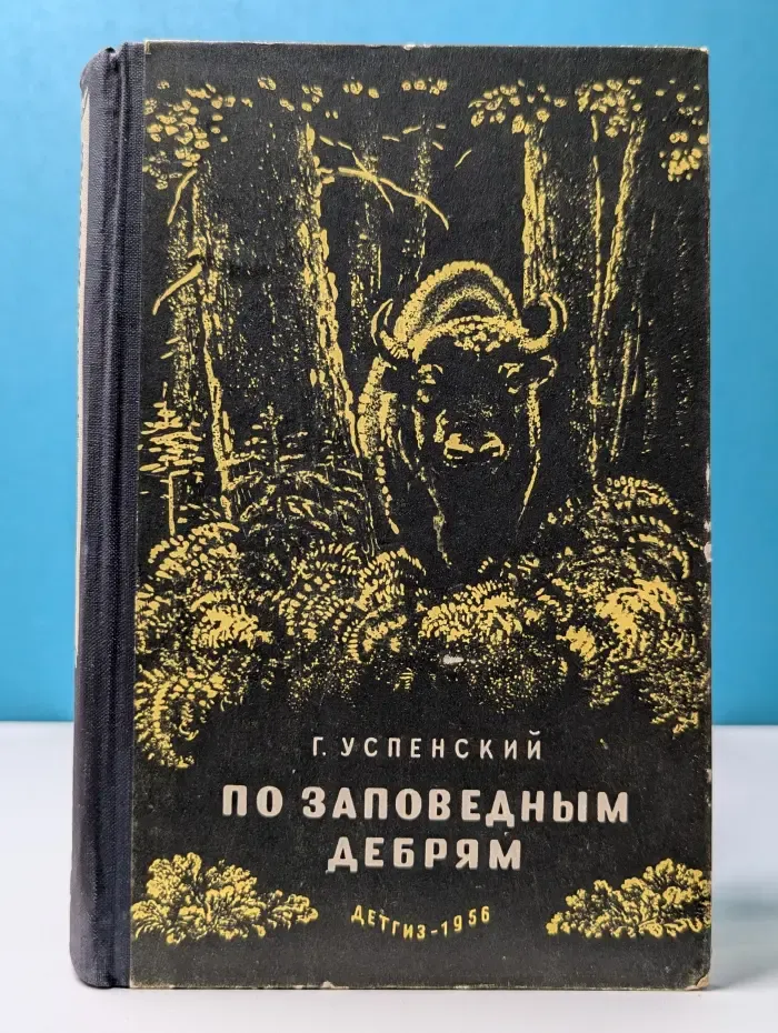 Школьная библиотека. По заповедным дебрям