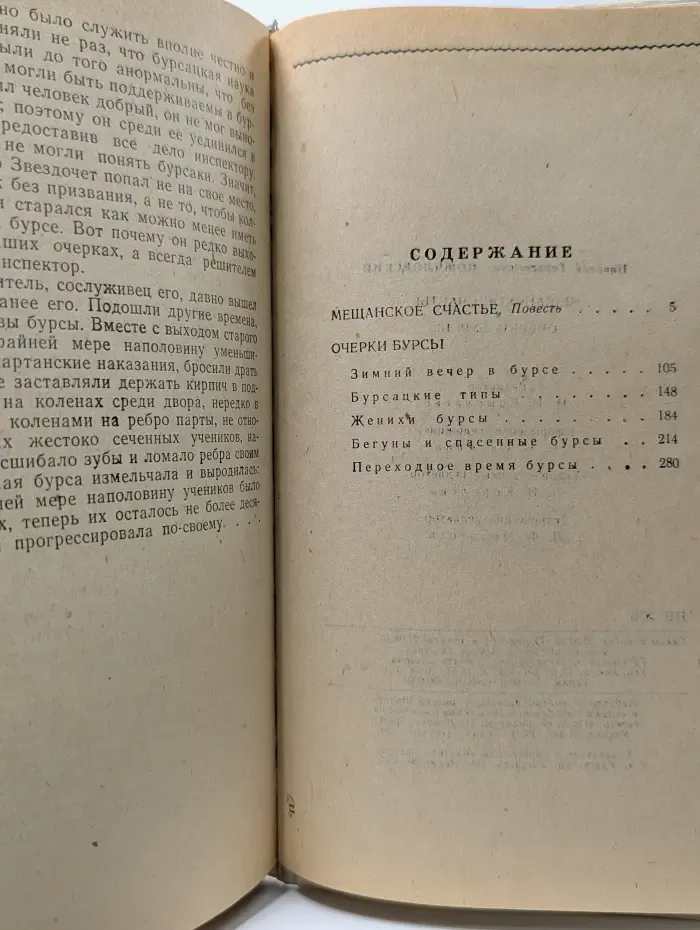 Мещанское счастье. Очерки бурсы