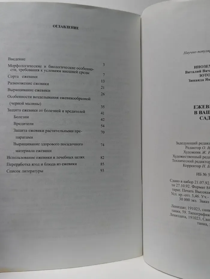 Ежевика в вашем саду