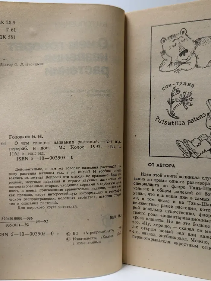 О чем говорят названия растений