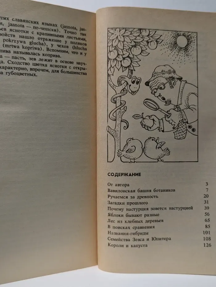 О чем говорят названия растений
